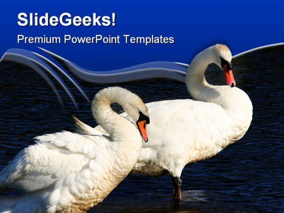 swans_together_animals_powerpoint_templates_and_powerpoint_backgrounds_0511_title.jpg