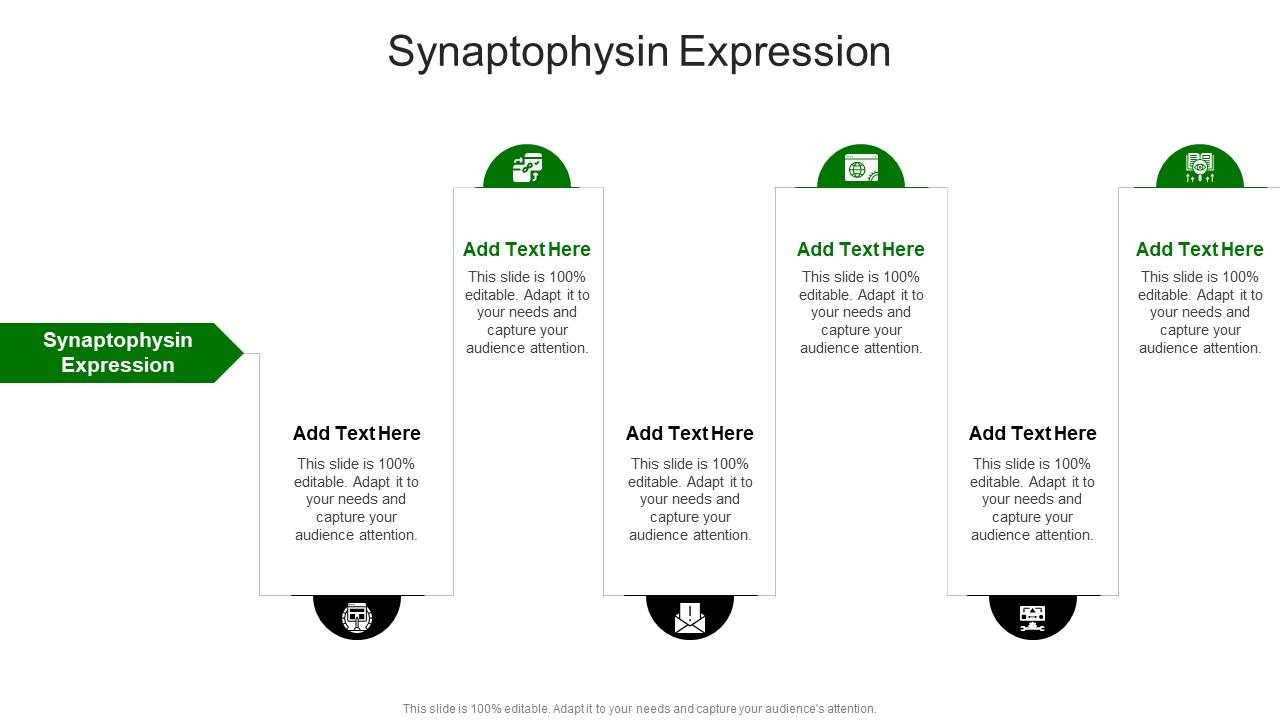 Synaptophysin Expression In Powerpoint And Google Slides Cpb
