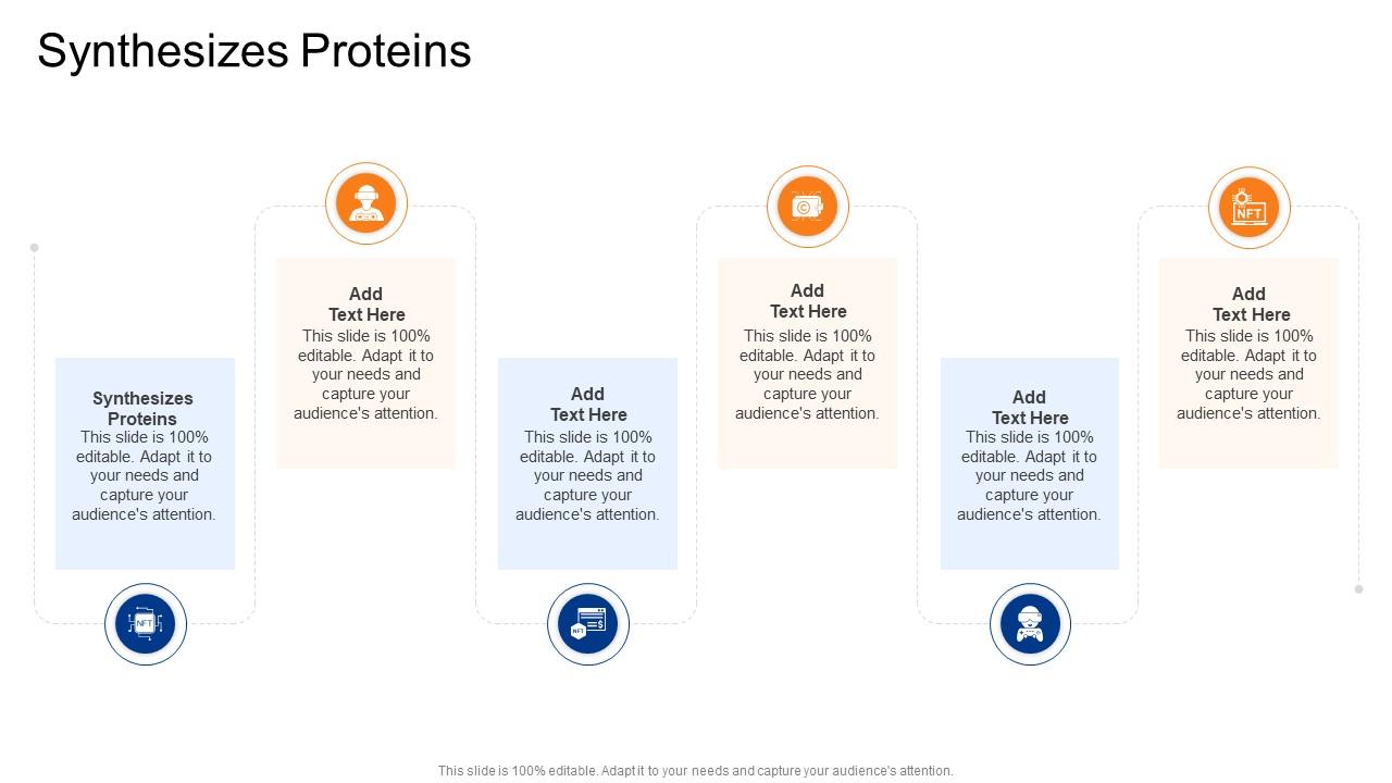 Synthesizes Proteins In Powerpoint And Google Slides Cpb