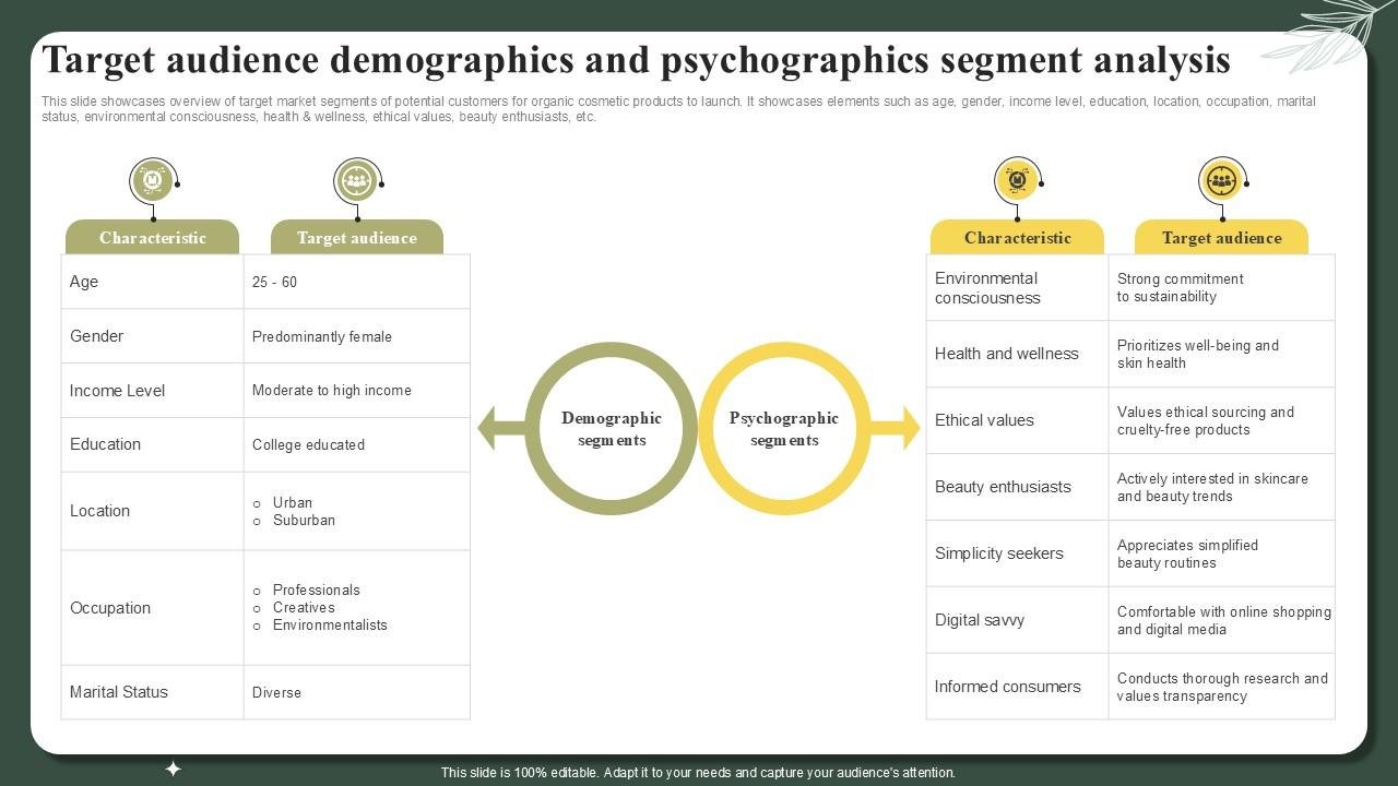 Target Audience Demographics And Psychographics Segment Analysis Successful Launch Ppt Sample