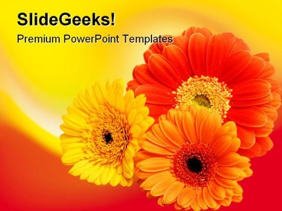three_daisies_beauty_powerpoint_templates_and_powerpoint_backgrounds_0311_title.jpg