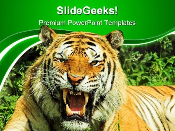 tiger_snarl_animals_powerpoint_templates_and_powerpoint_backgrounds_0411_title.jpg
