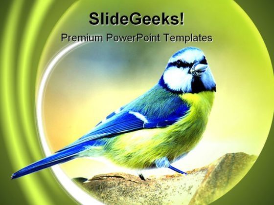 tit_nature_powerpoint_templates_and_powerpoint_backgrounds_0111_title.jpg