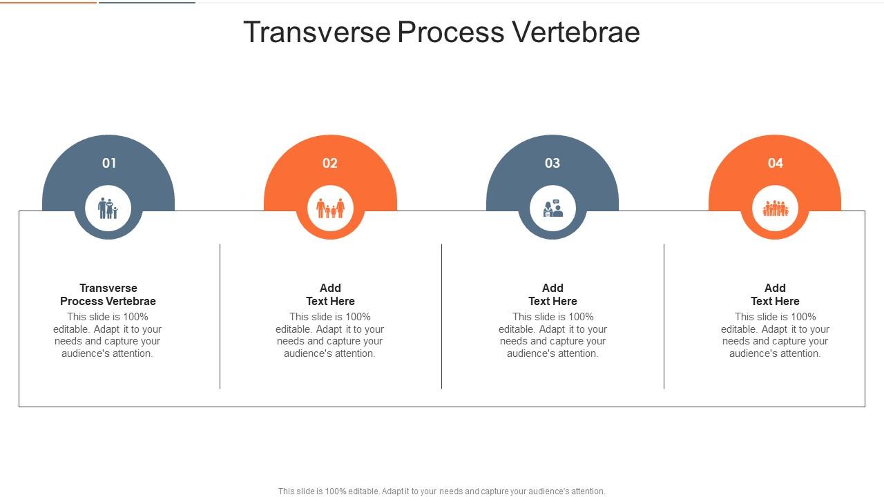 Transverse Process Vertebrae In Powerpoint And Google Slides Cpb
