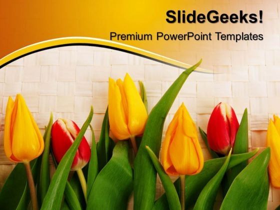 tulips_beauty_powerpoint_templates_and_powerpoint_themes_0512_title.jpg