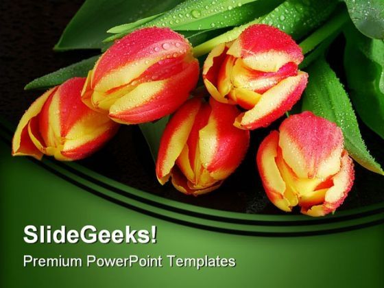 tulips_nature_powerpoint_templates_and_powerpoint_backgrounds_0211_title.jpg
