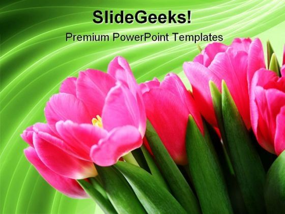 tulips_on_green_abstract_beauty_powerpoint_templates_and_powerpoint_backgrounds_0311_title.jpg