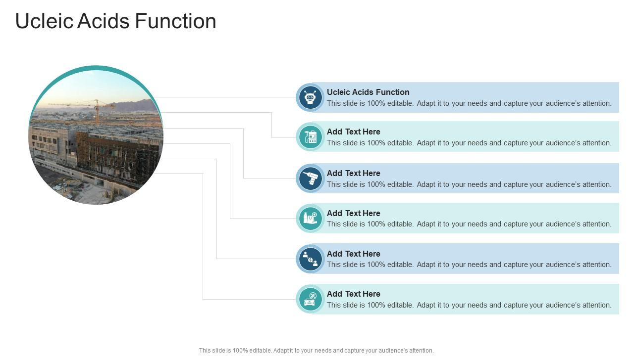 Ucleic Acids Function In Powerpoint And Google Slides Cpb
