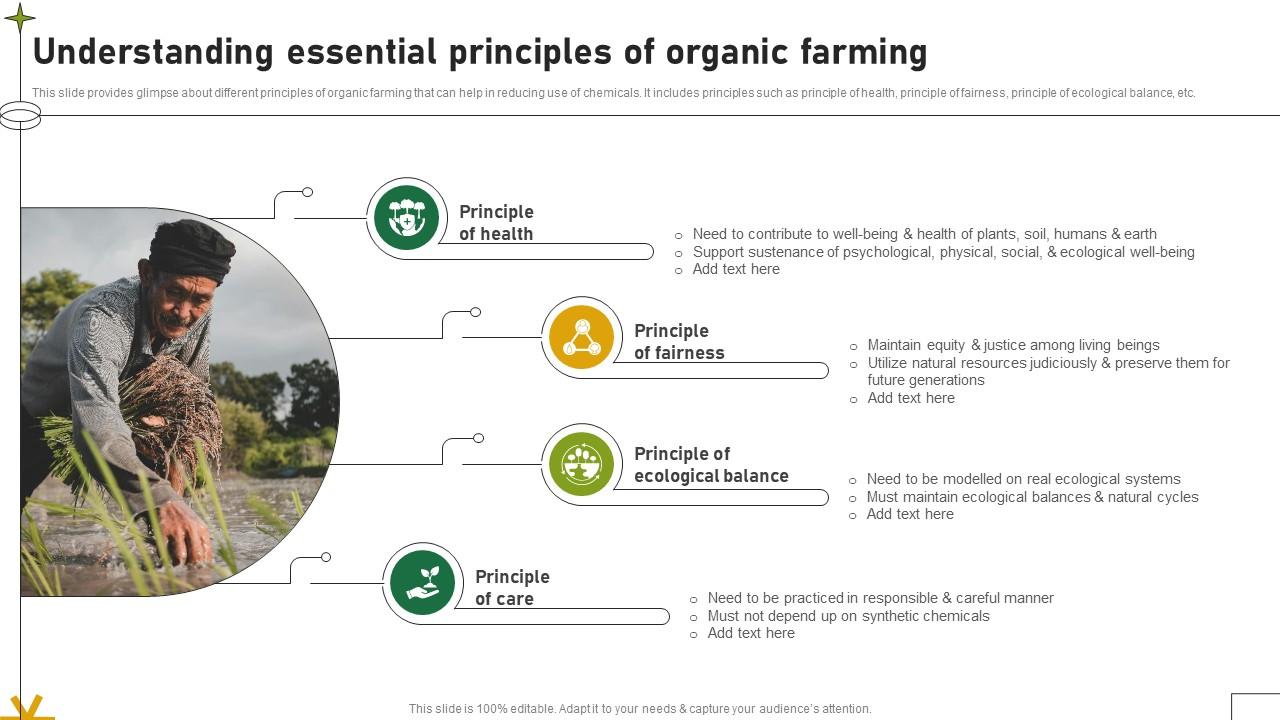 Understanding Essential Principles Of Organic Farming Adopting Sustainable Farming Techniques