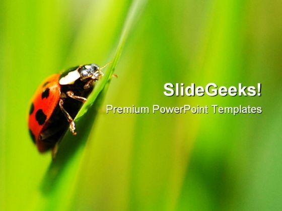 uphill_struggle_animals_powerpoint_templates_and_powerpoint_backgrounds_0511_title.jpg
