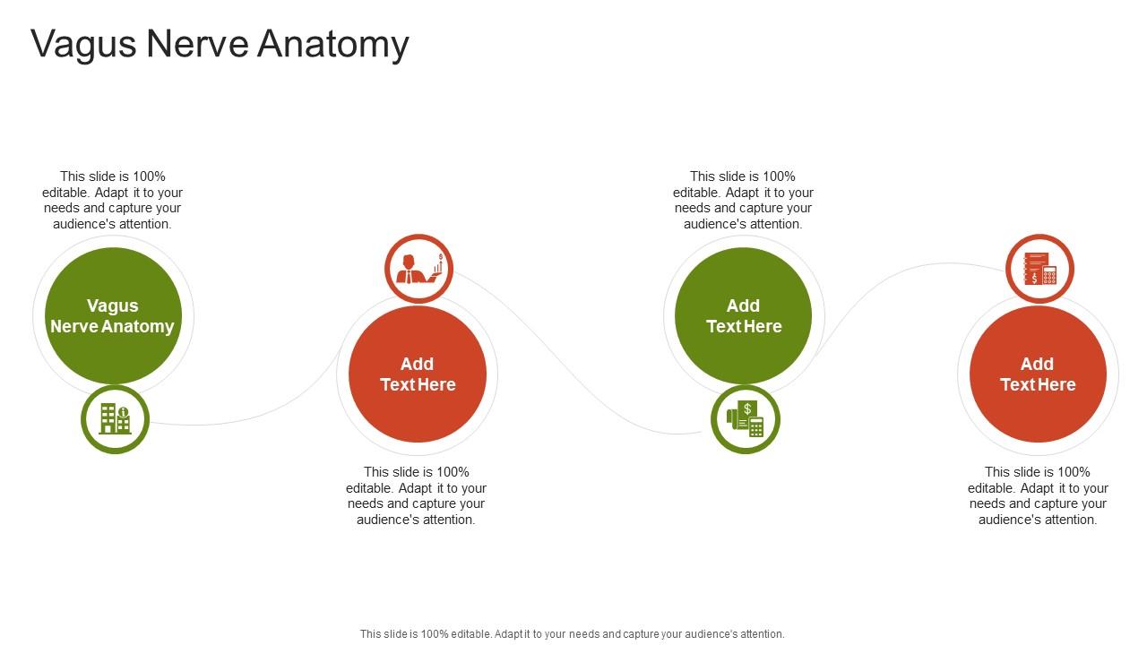 Vagus Nerve Anatomy In Powerpoint And Google Slides Cpb