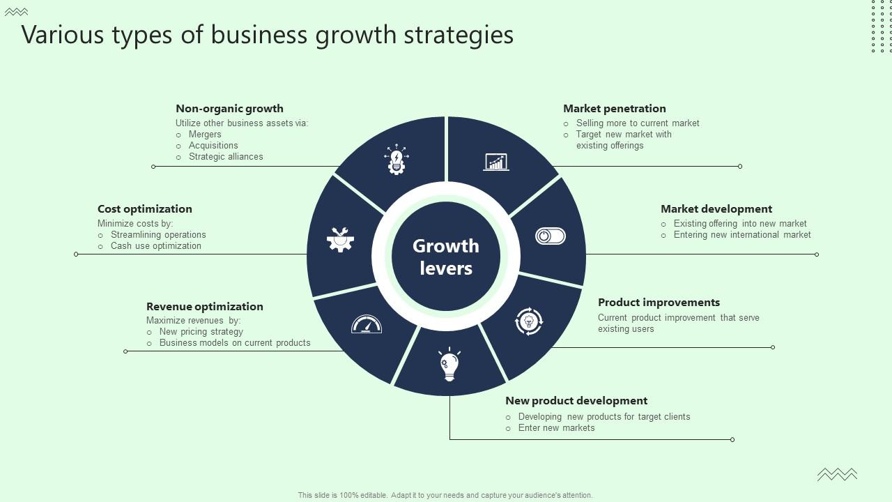 Various Types Of Business Growth Strategies Microsoft Pdf
