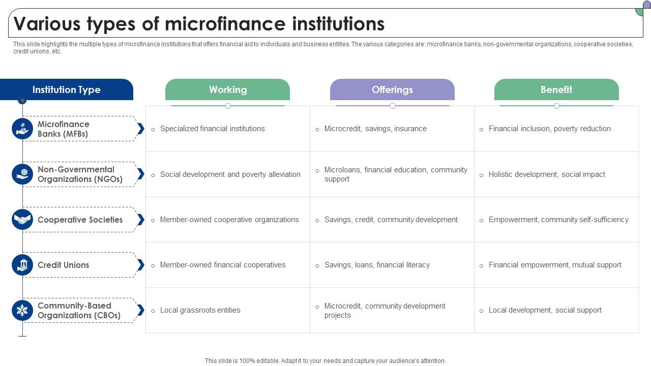 Various Types Of Microfinance Institutions Complete Guide To Microfinance Fin SS V