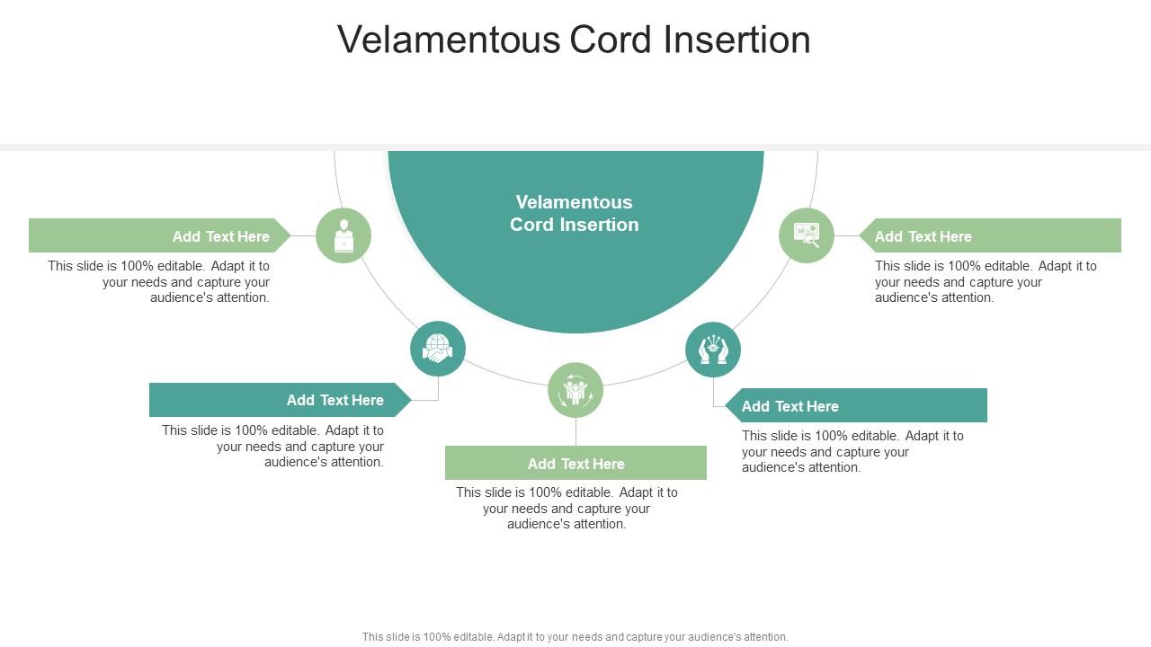 Velamentous Cord Insertion In Powerpoint And Google Slides Cpb
