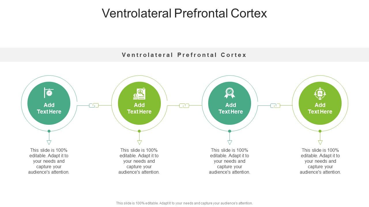 Ventrolateral Prefrontal Cortex In Powerpoint And Google Slides Cpb