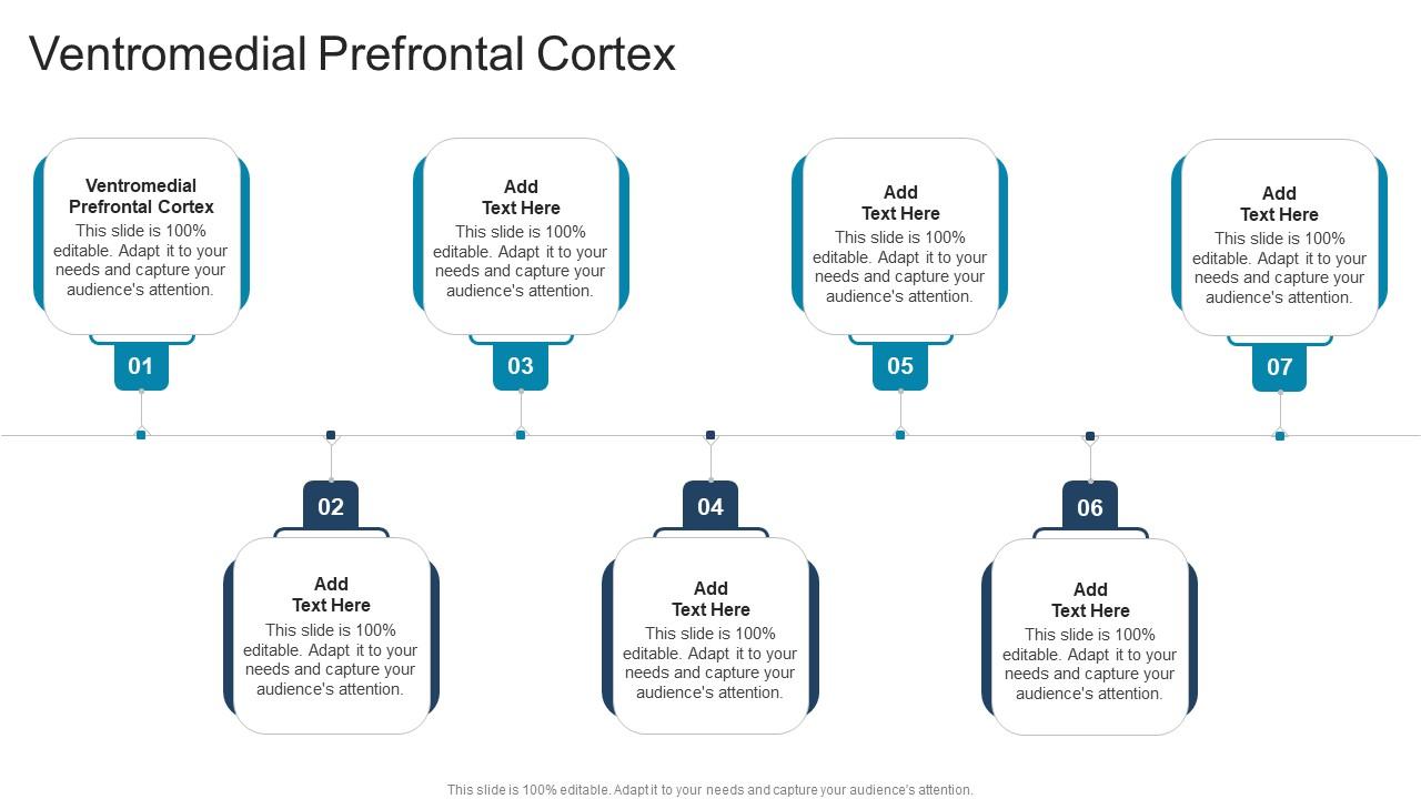 Ventromedial Prefrontal Cortex In Powerpoint And Google Slides Cpb