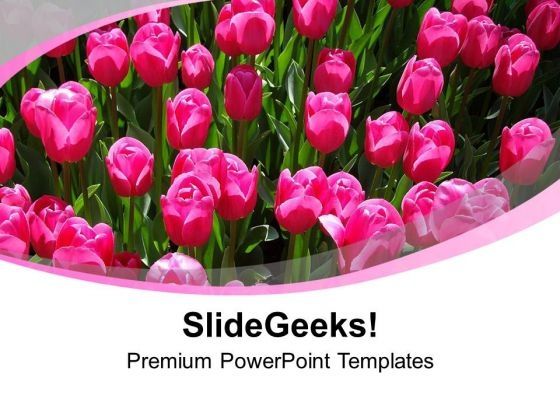 view_of_vibrant_rose_flowers_powerpoint_templates_ppt_backgrounds_for_slides_1212_title.jpg