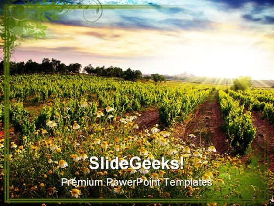 vineyard_nature_powerpoint_templates_and_powerpoint_backgrounds_0311_title.jpg