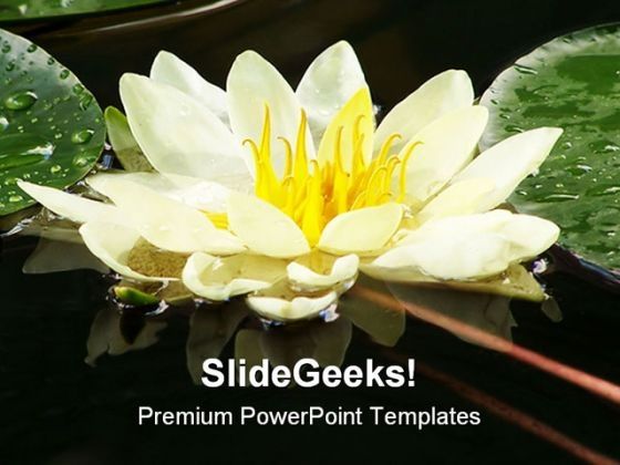 water_lily_nature_powerpoint_templates_and_powerpoint_backgrounds_0311_title.jpg