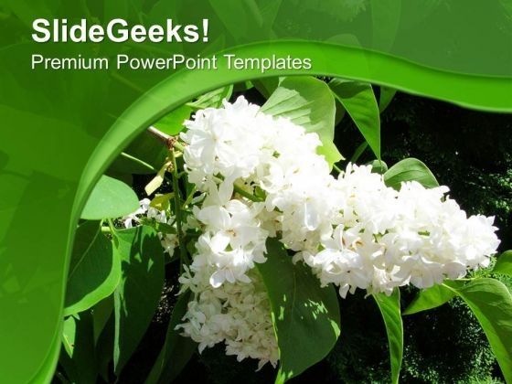 white_flowers_nature_abstract_background_powerpoint_templates_ppt_backgrounds_for_slides_0613_title.jpg