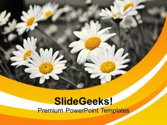 white_lillies_with_abstract_background_powerpoint_templates_ppt_backgrounds_for_slides_0613_title.jpg
