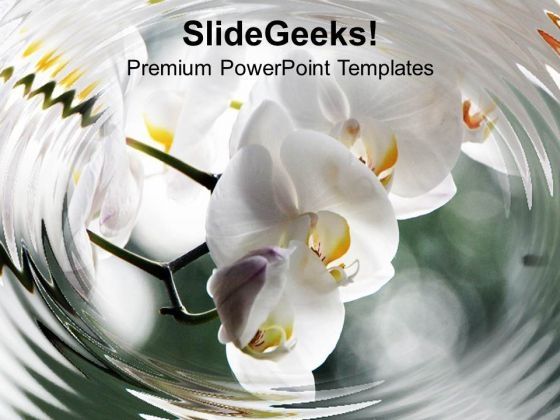 white_orchids_beautiful_decoration_powerpoint_templates_ppt_backgrounds_for_slides_0213_title.jpg
