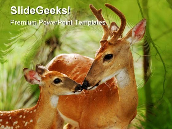 white_tail_buck_animal_powerpoint_template_0810_title.jpg