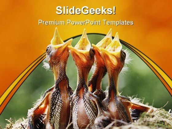wild_birds_animal_powerpoint_template_0810_title.jpg