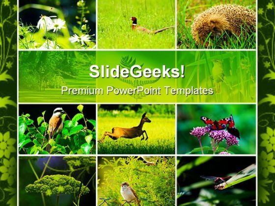 wild_nature_animals_powerpoint_themes_and_powerpoint_slides_0511_title.jpg