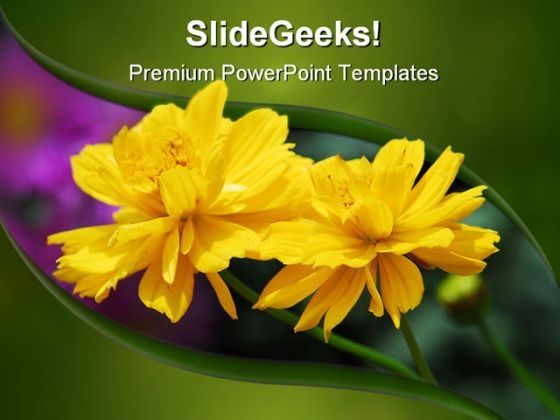 yellow_flower_beauty_powerpoint_template_0810_title.jpg