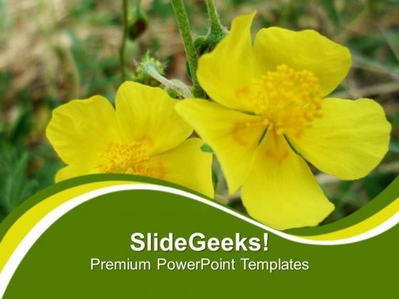 yellow_flower_for_happiness_theme_powerpoint_templates_ppt_backgrounds_for_slides_0613_title.jpg