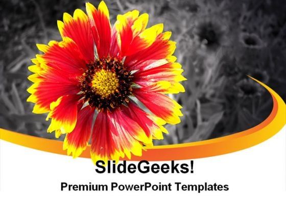 yellow_flower_on_background_beauty_powerpoint_templates_and_powerpoint_backgrounds_0311_title.jpg