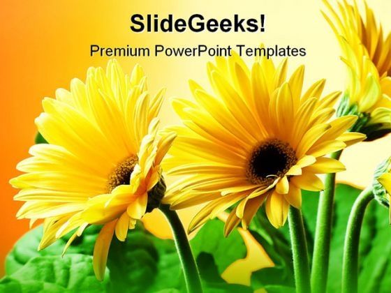 yellow_flowers_beauty_powerpoint_templates_and_powerpoint_backgrounds_0311_title.jpg