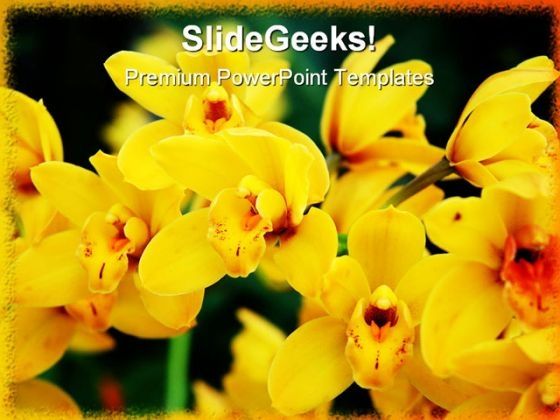 yellow_orchids_nature_powerpoint_template_0810_title.jpg