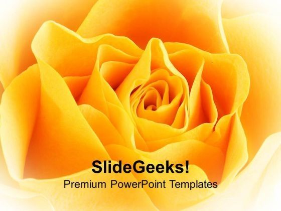 yellow_rose_beauty_powerpoint_templates_ppt_backgrounds_for_slides_0213_title.jpg