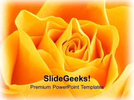 yellow_rose_flower_background_powerpoint_templates_ppt_backgrounds_for_slides_1212_title.jpg