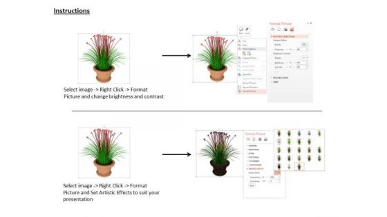 0814 Colorful Plant Potted For Environment Image Graphics For PowerPoint
