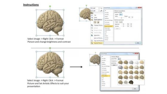 0814 Stock Photo 3d Render Of Human Brain PowerPoint Slide
