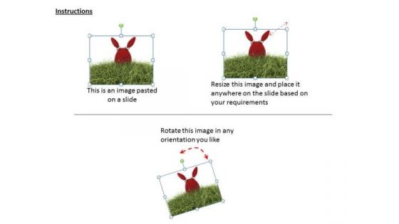 0814 Stock Photo Bunny Egg Over The Grass PowerPoint Slide