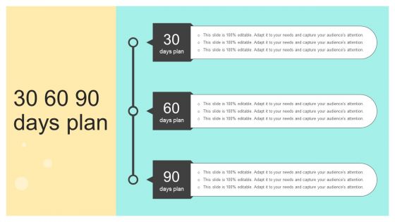 30 60 90 Days Plan Online And Offline Brand Promotion Techniques Information PDF