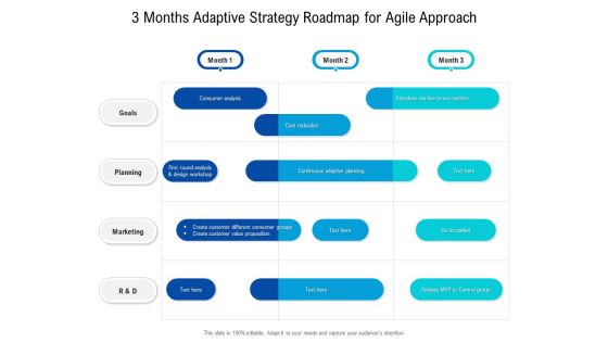3 Months Adaptive Strategy Roadmap For Agile Approach Information
