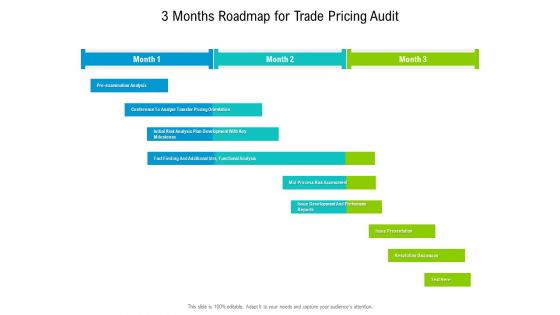 3 Months Roadmap For Trade Pricing Audit Sample 3 Months Roadmap For Trade Pricing Audit Sample