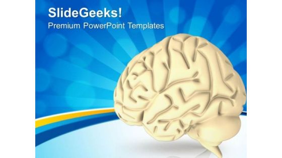 3d Graphics Of Human Brain PowerPoint Templates Ppt Backgrounds For Slides 0613