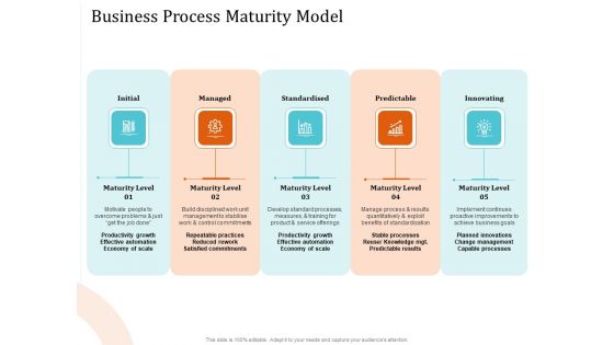 5 Pillars Business Long Term Plan Business Process Maturity Model Professional PDF