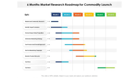 6 Months Market Research Roadmap For Commodity Launch Guidelines