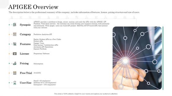 API Management Market APIGEE Overview Summary PDF