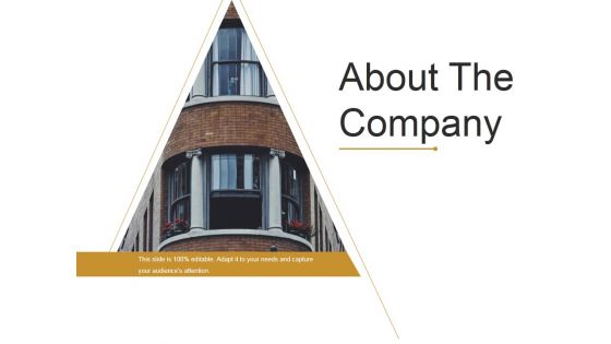 About The Company Ppt PowerPoint Presentation Styles Topics