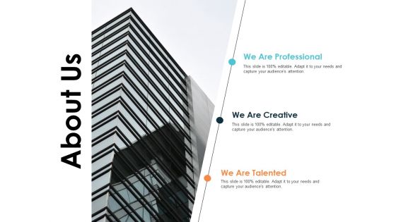 About Us Company Detail Ppt PowerPoint Presentation Model Examples