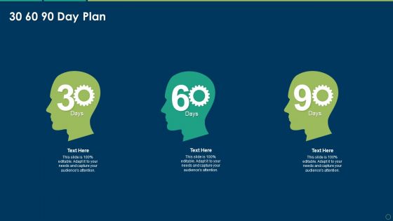 Accelerating Business Growth Inorganically 30 60 90 Day Plan Ppt Infographics Format PDF