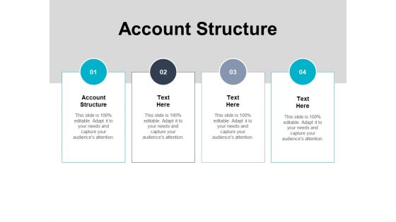 Account Structure Ppt PowerPoint Presentation Inspiration Example File Cpb